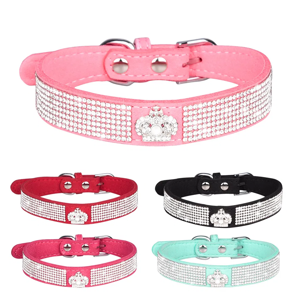 Pet Collar View 1
