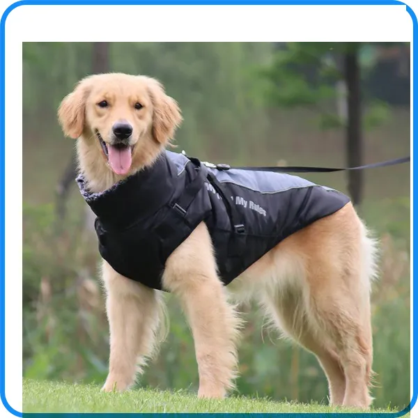Dog Apparel 4