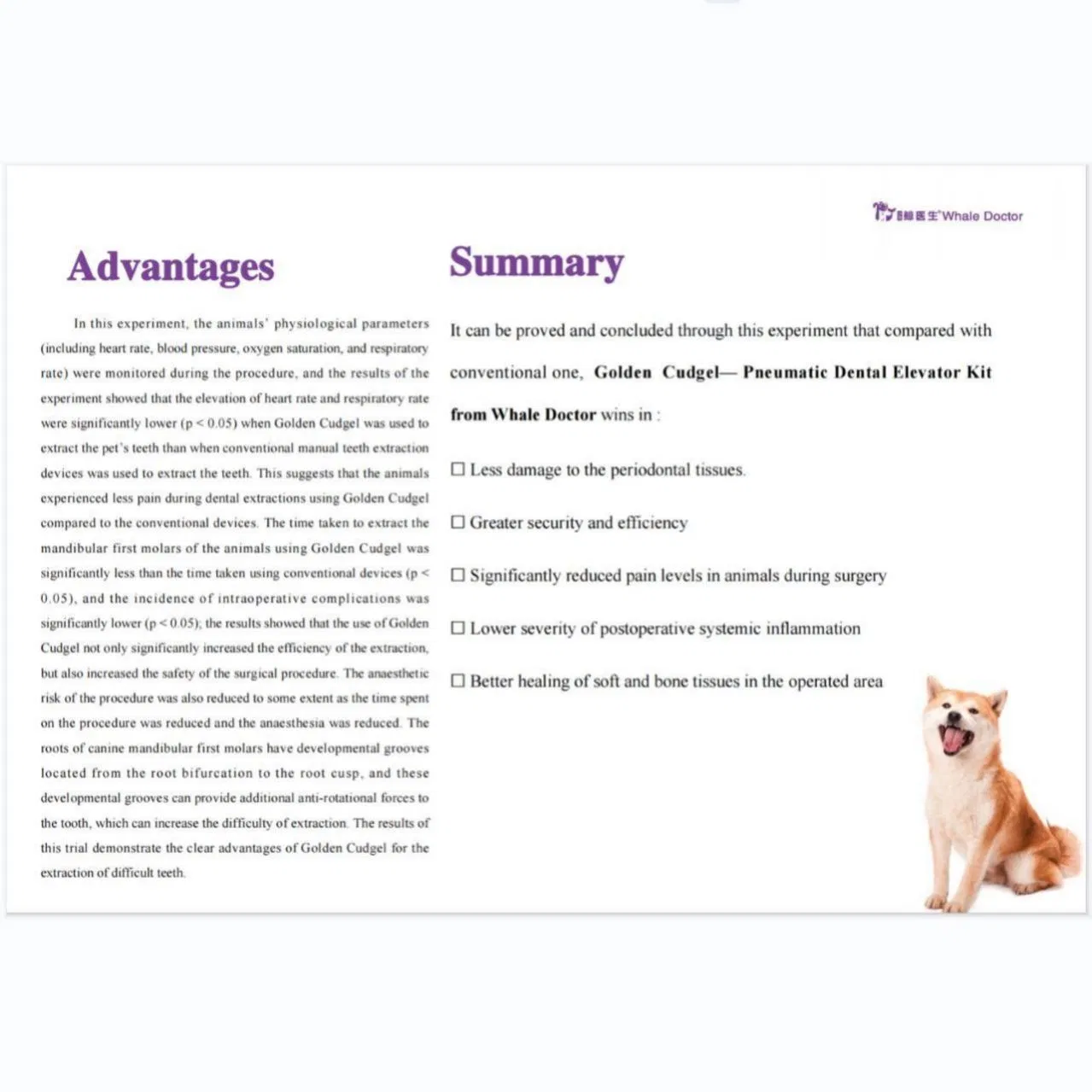 Innovative Pet Medical Products for Efficient Dental Care Accessory Veterinary Instruments