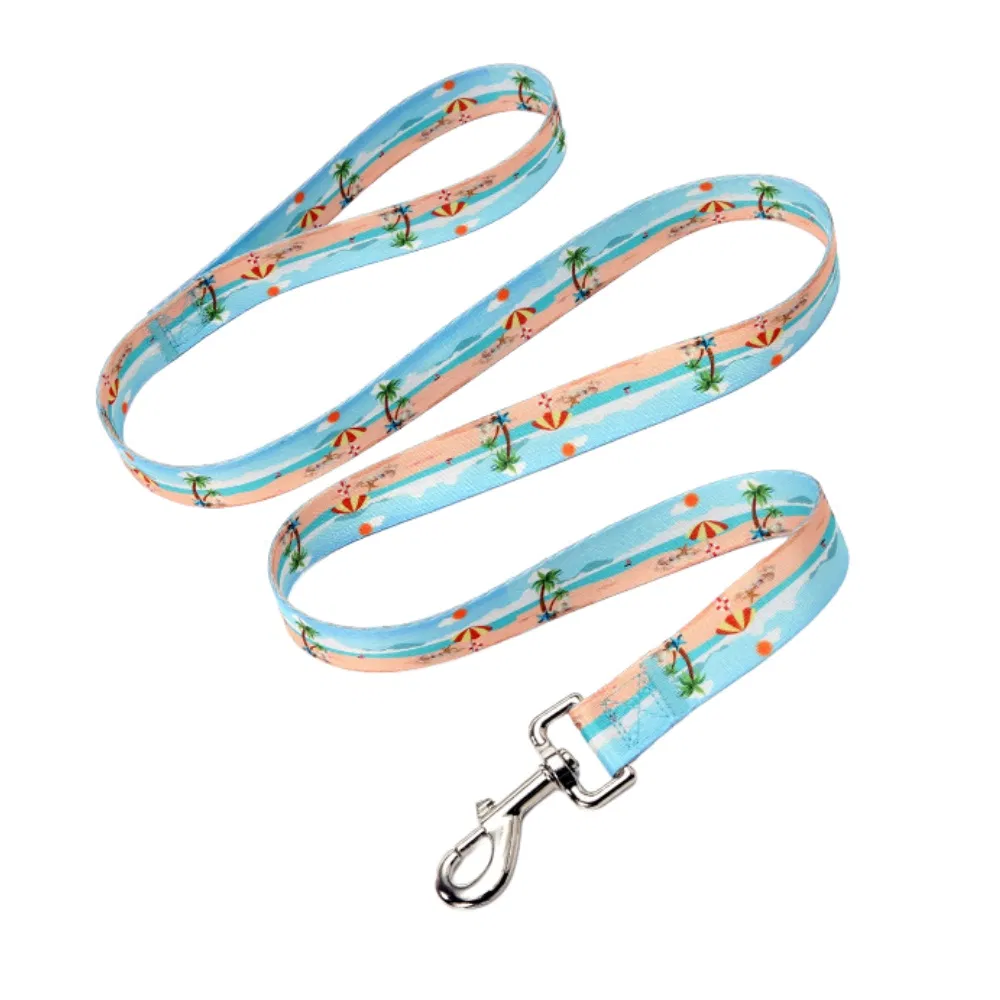 Wholesale Dog Leash with Pattern Printing Zinc Alloy Hook Pet Supplies Manufacturer Custom Collar Style for Pet Leash