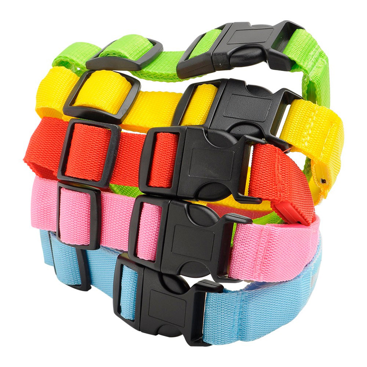 Hot Safety Pet Collar Lighted up Nylon LED Dog Collar Dog Products