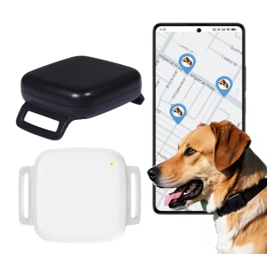 Mini Small Smart Device for Dogs for Pets 4G Dog Locator Tracker