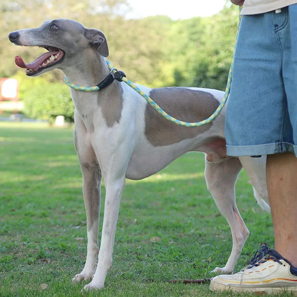 Pet Supplies Dog Collar Dog Leash P Chain Slip Rope Leads Leash Pet Puppy Nylon Rope Adjustable Loop Collar Slip Lead for Training Large Dogs