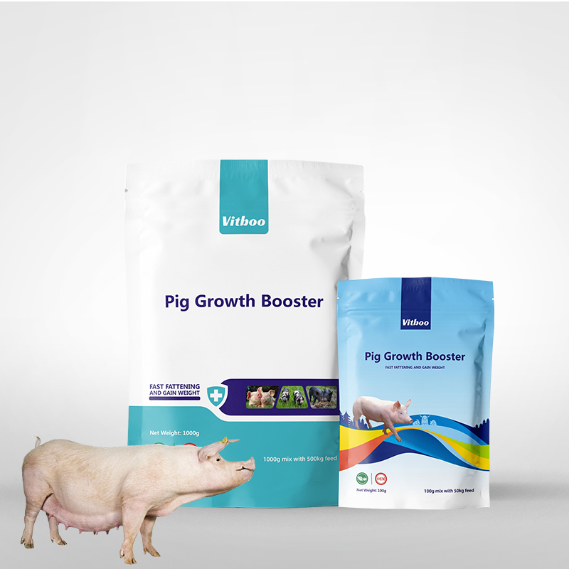 Reasons and Solutions for Sows Not Eating After Parturition Pig Healthcare Booster