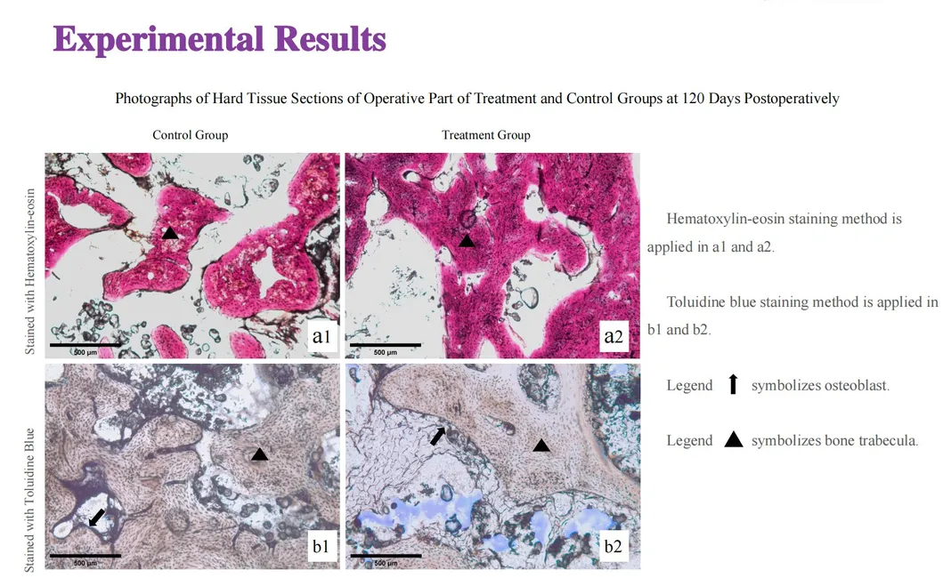 Microscopic Result 2