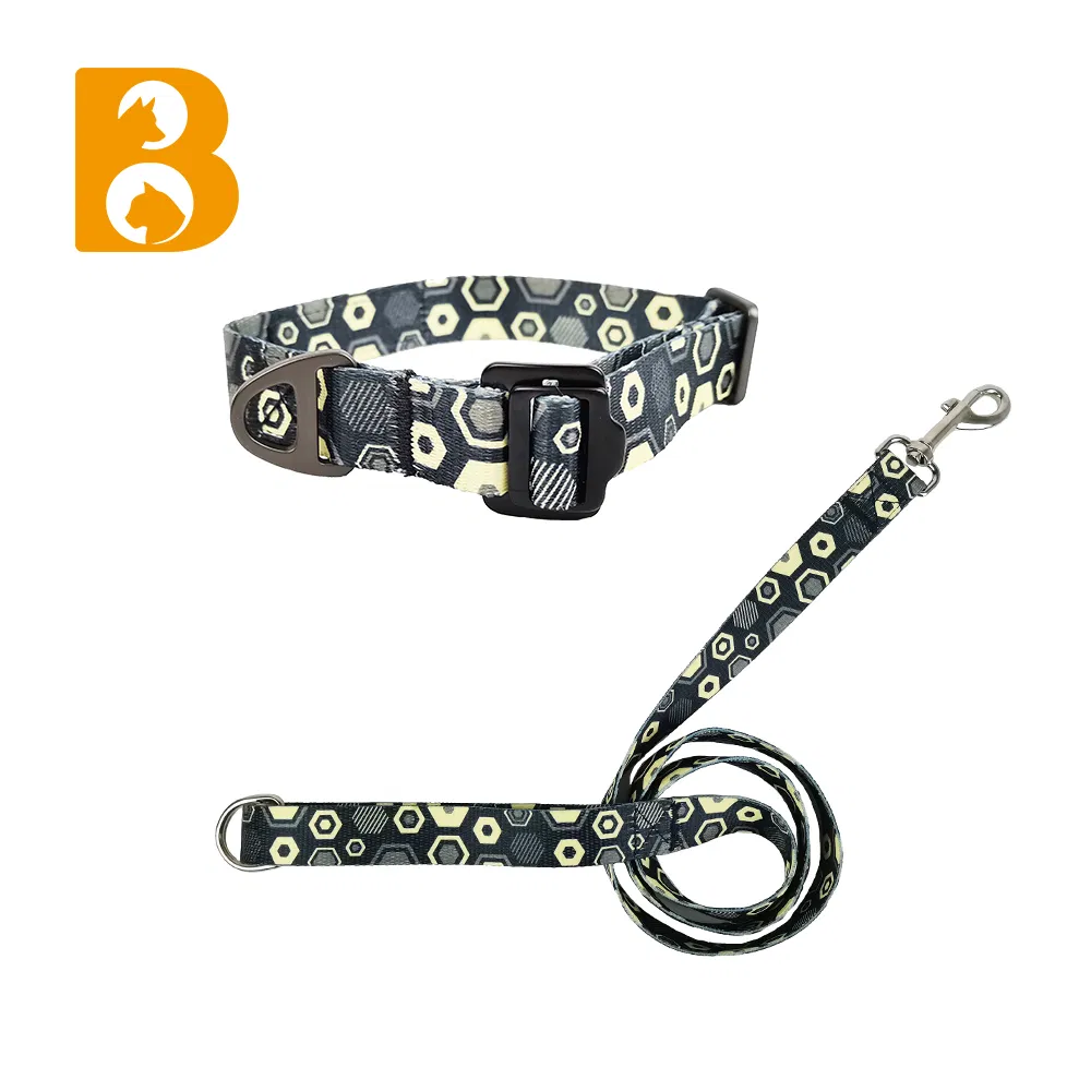 Pet Walking Training Gear