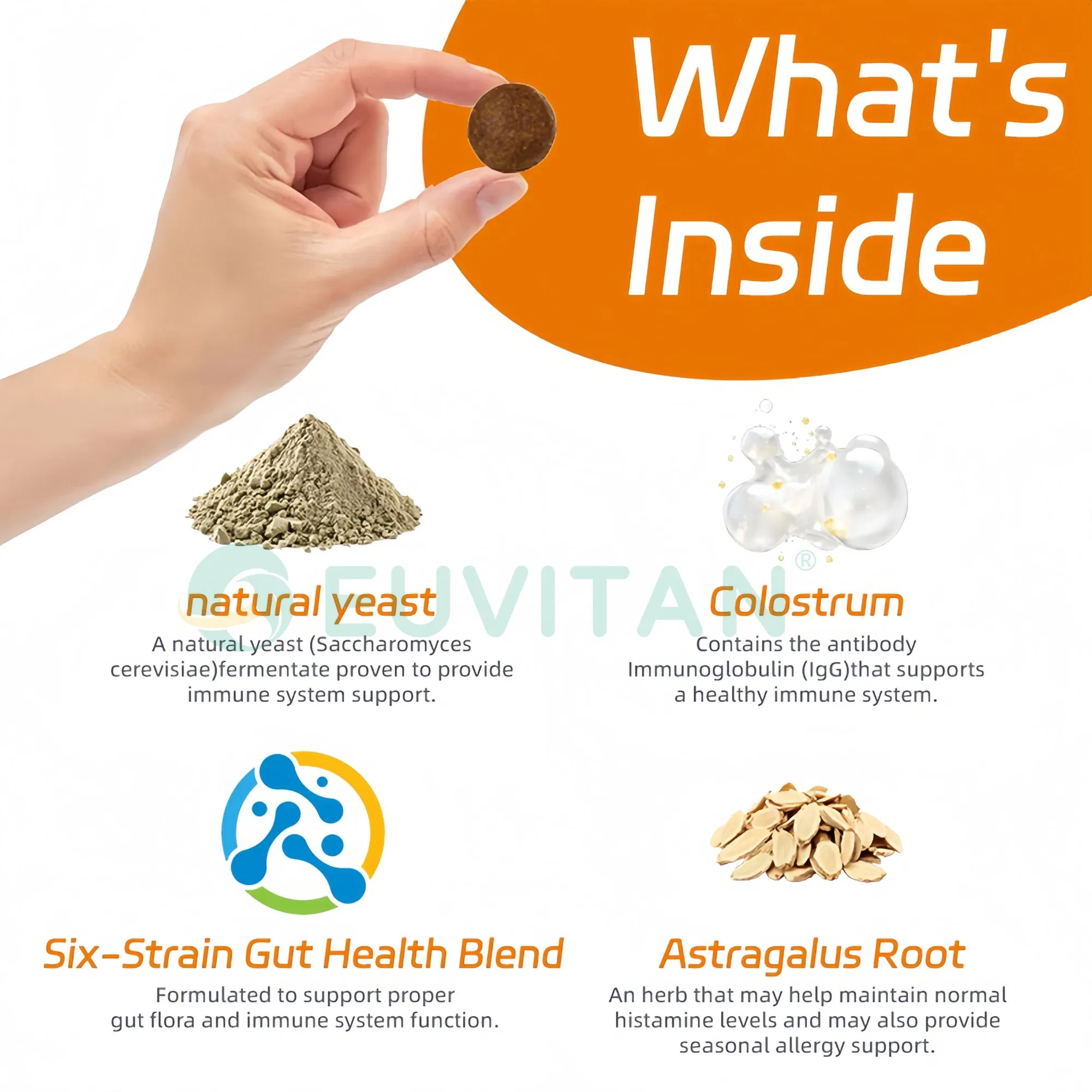 Dog Allergy Relief Itchy Skin and Itchy Ears Pet Health Care Supplement