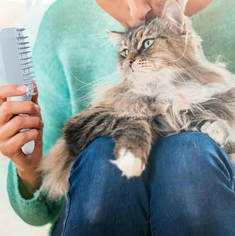 Pet Deodorization Comb 1