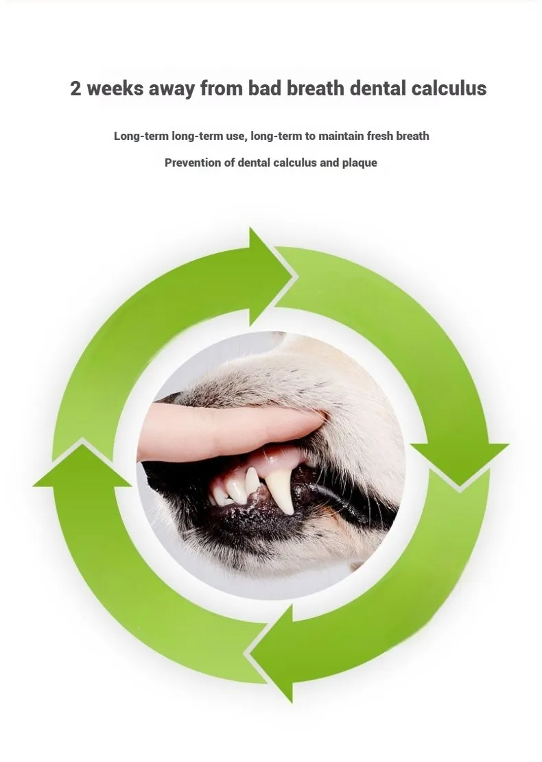 Dental Care Detail 8