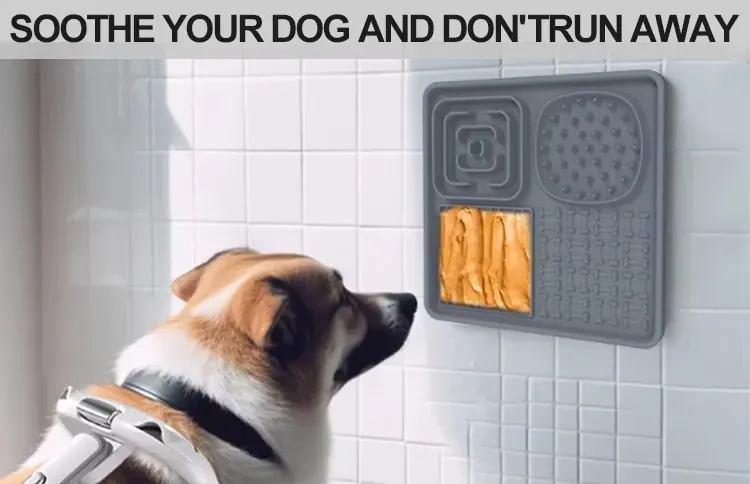 Food Training Pet Feeder