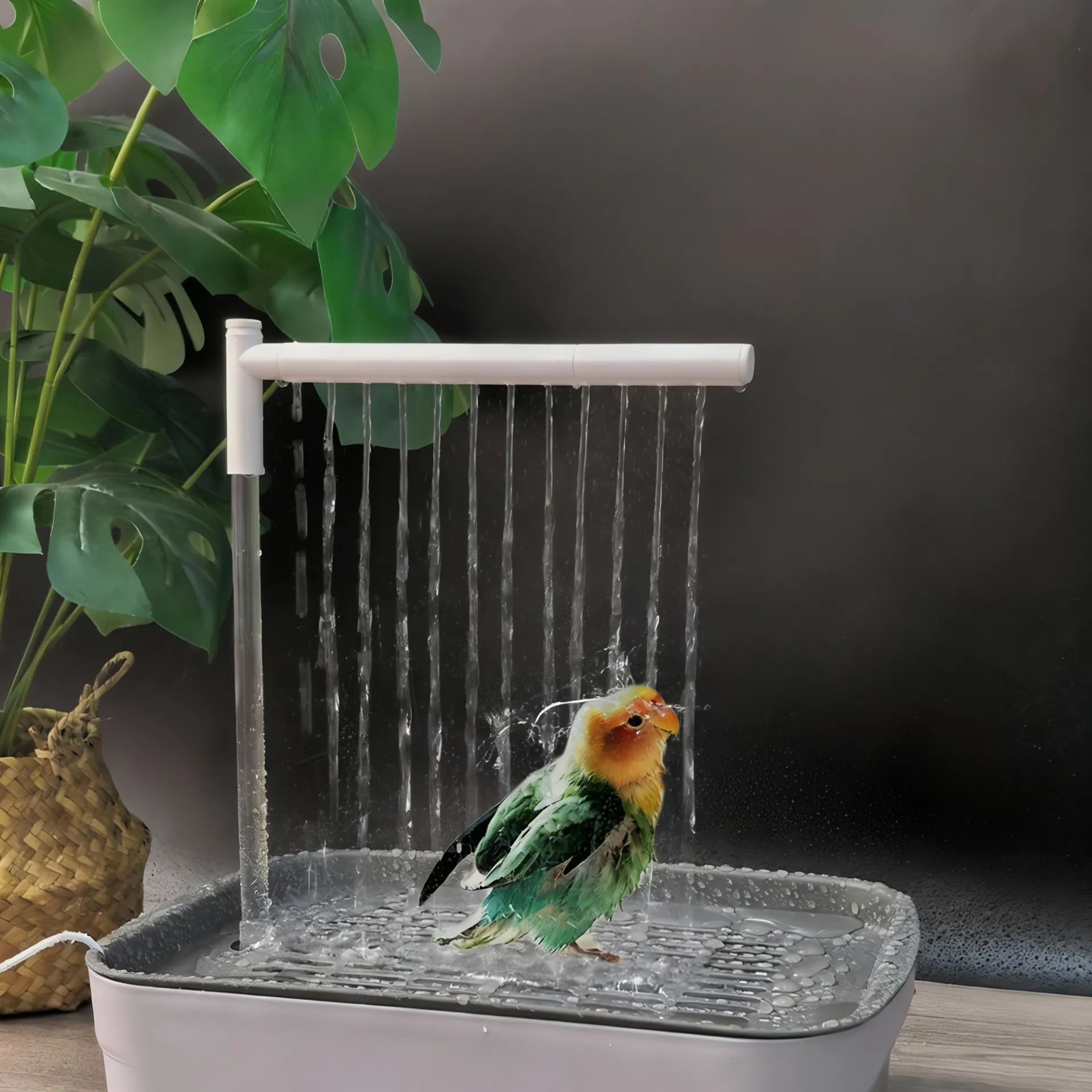 Automatic Water Circulation Parrot Shower Bath