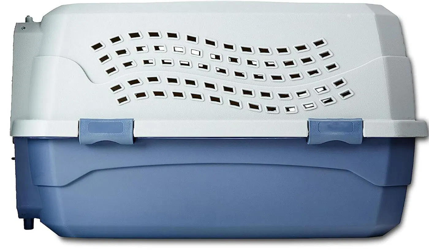 2-Door Top-Load Hard-Sided Pet Travel Carrier