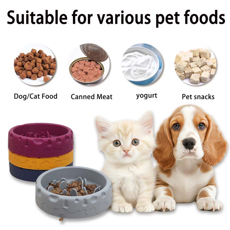 Silicone Slow Feeder Bowl Pet Anti Gulp Dog Feeding Bowl