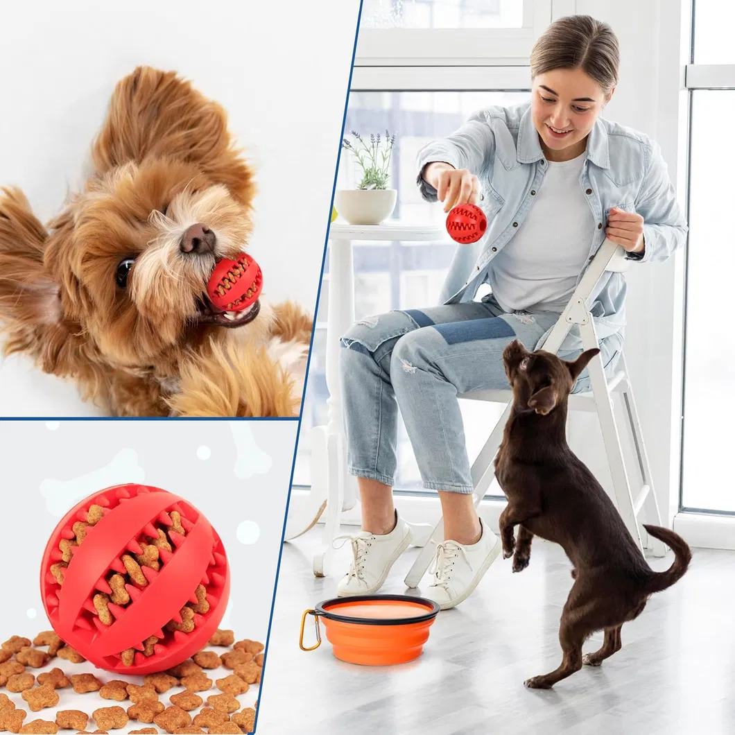 Collapsible Dog Bowl 3