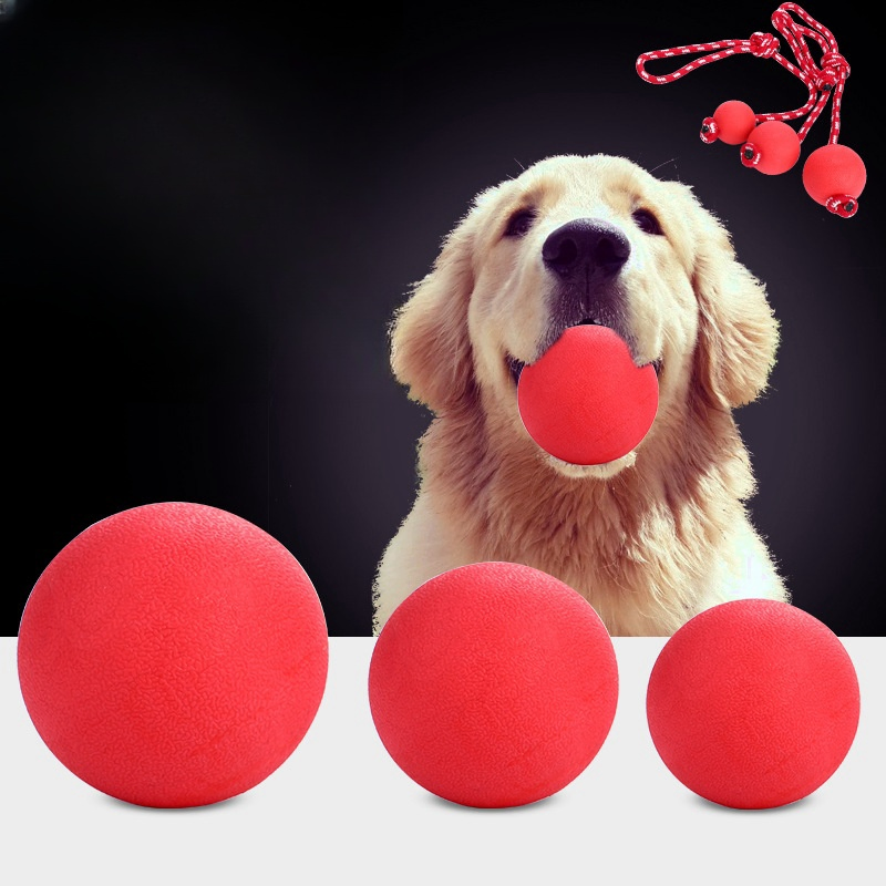 Factory Durable Plastic Dog Training Ball Pet Product for Interaction Chewing