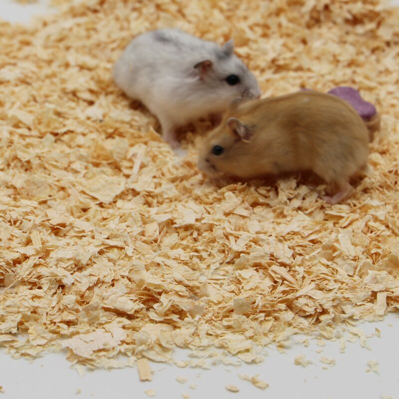 China Best Sustainable Pine Wood Shaving Flakes Beddings for Small Pets for Cats