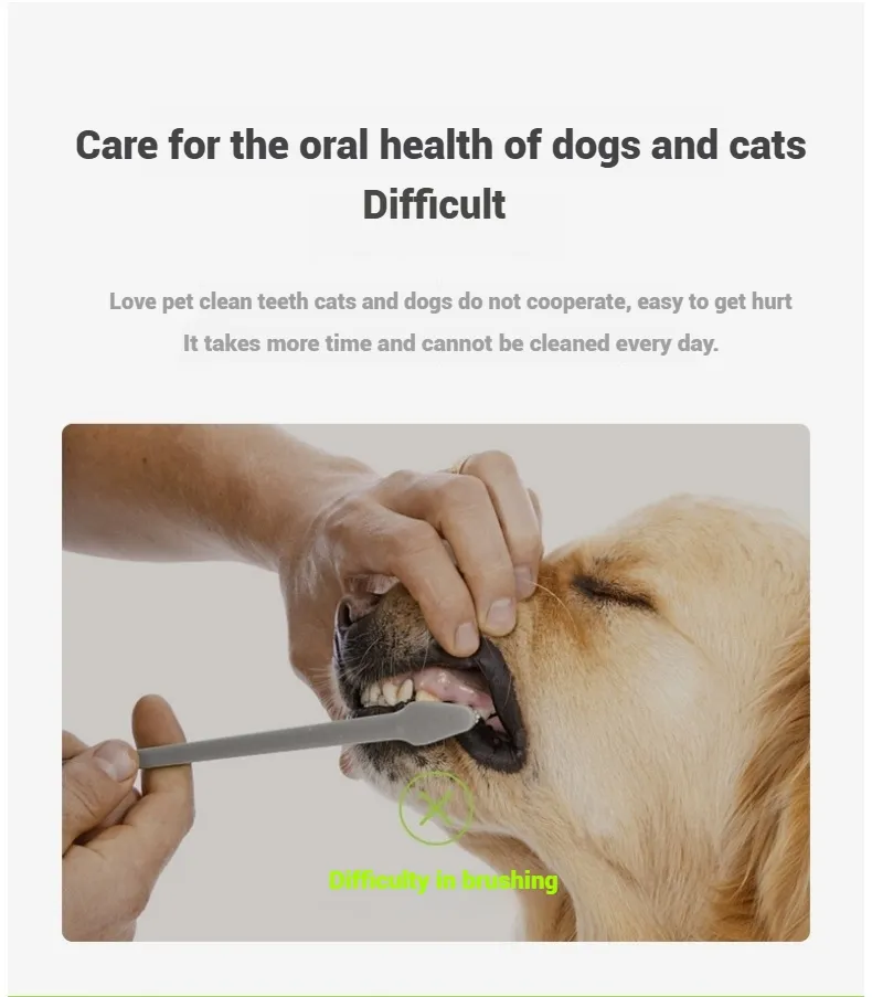 Dental Care Detail 5