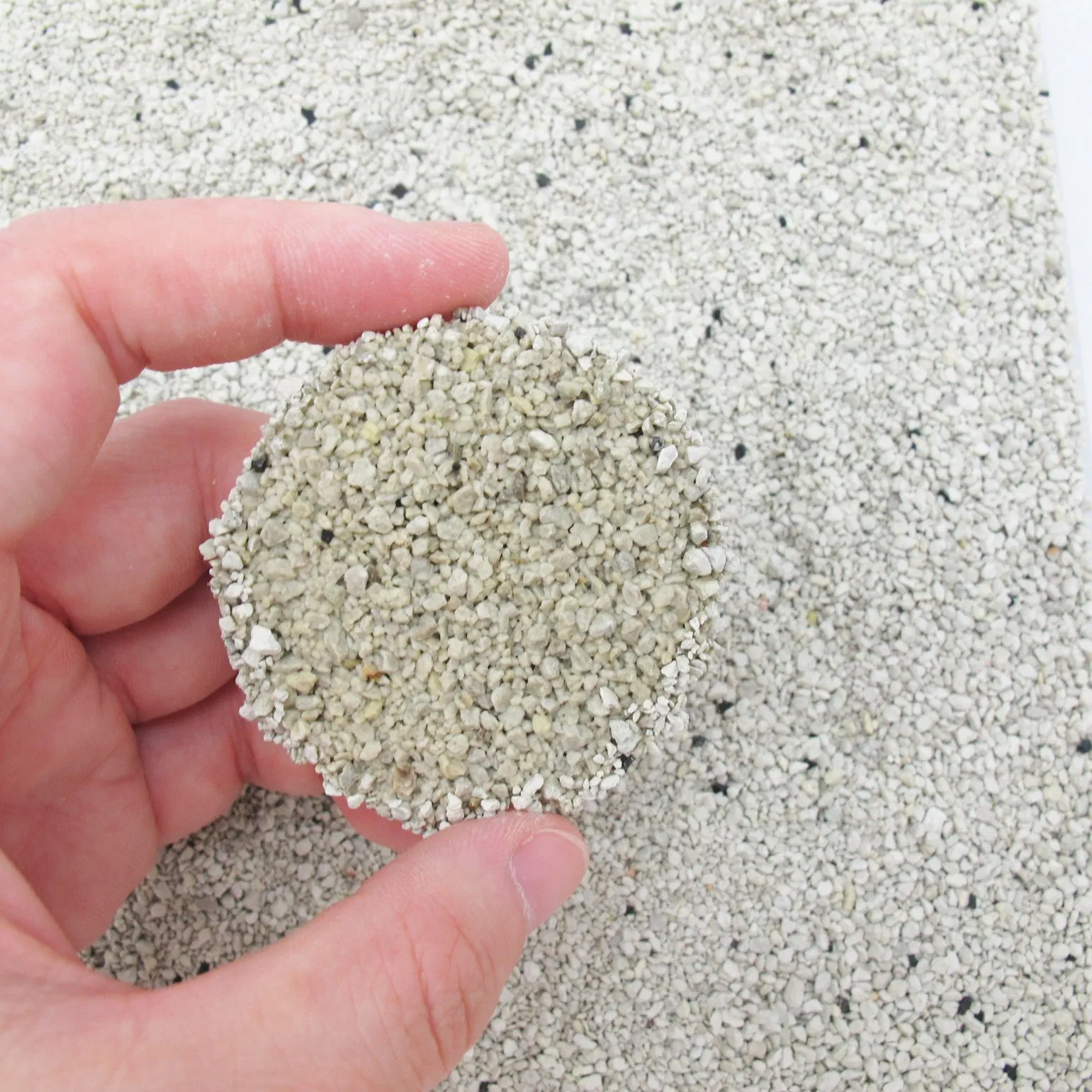 Economical Cost Good Deosorization High Absorption Domestic Minerals Activated Carbon Natural Sodium-Based Ore Sands Bentonite Cat Litter Pet Cleaning Supply