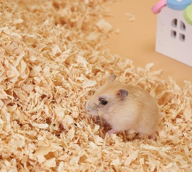 Premium Natural Pet Wood Shaving Flakes/Pet Bedding in ISO9001/HACCP Approved Competitive Cost Export to USA, Canada, Japan, Korea, Austrilia for Pet Beddings