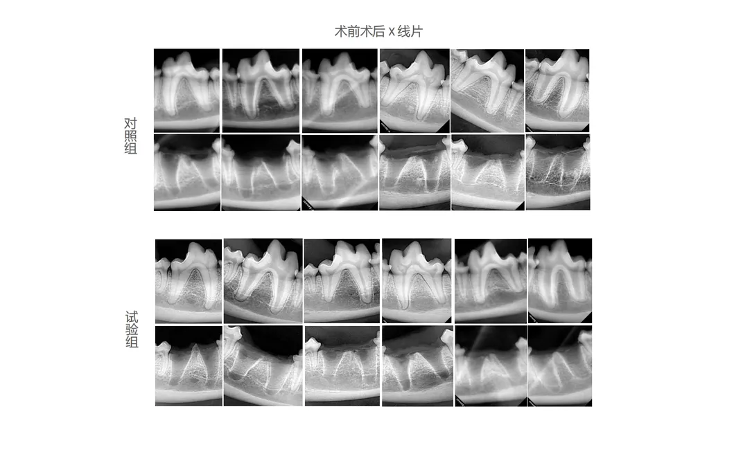 Experimental Result 1