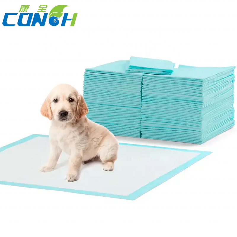 Disposable Pet Products for Training Dogs and Puppies Effectively