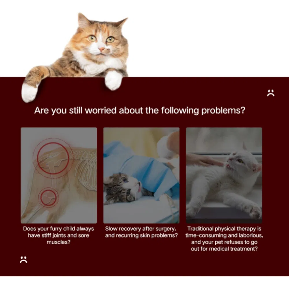 Azure PDT Infared Dog American Shorthair Cat Crate Red Light Therapy Health Device Bird Carrier Kennel Bed House Pet Cage