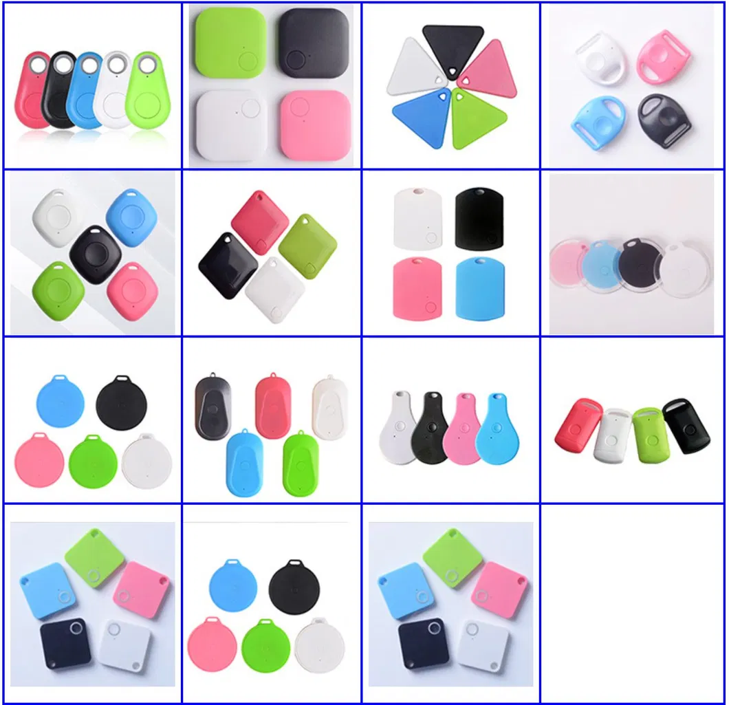 GPS Tracker Detail 1