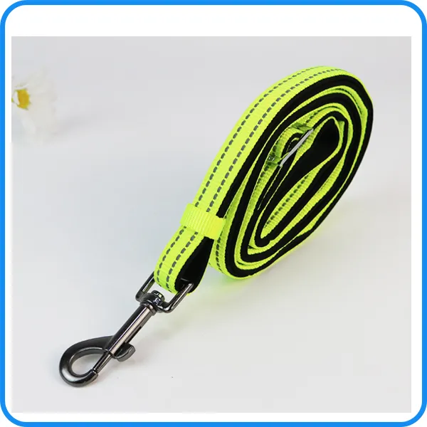 Pet Dog Leash