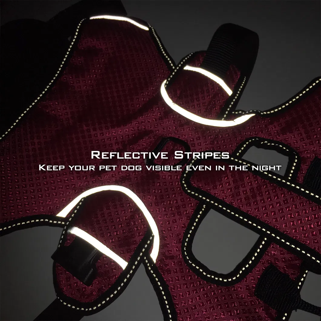 Dog Harness Detail 3