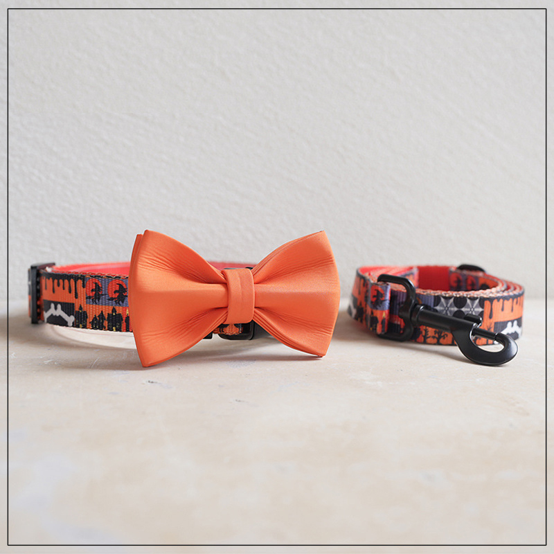 Factory OEM Halloween Nylon Webbing Pet Collar Leash Dog Lead Set