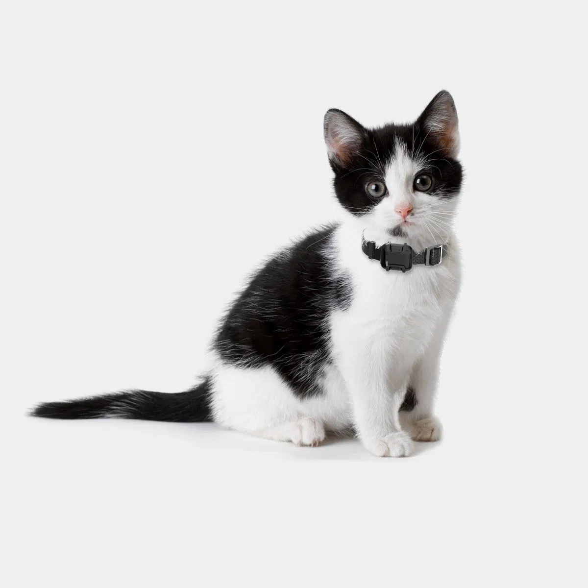 GPS Tracking Device Smart Bracelet Locator Tracker Pet Device for Cat Dog