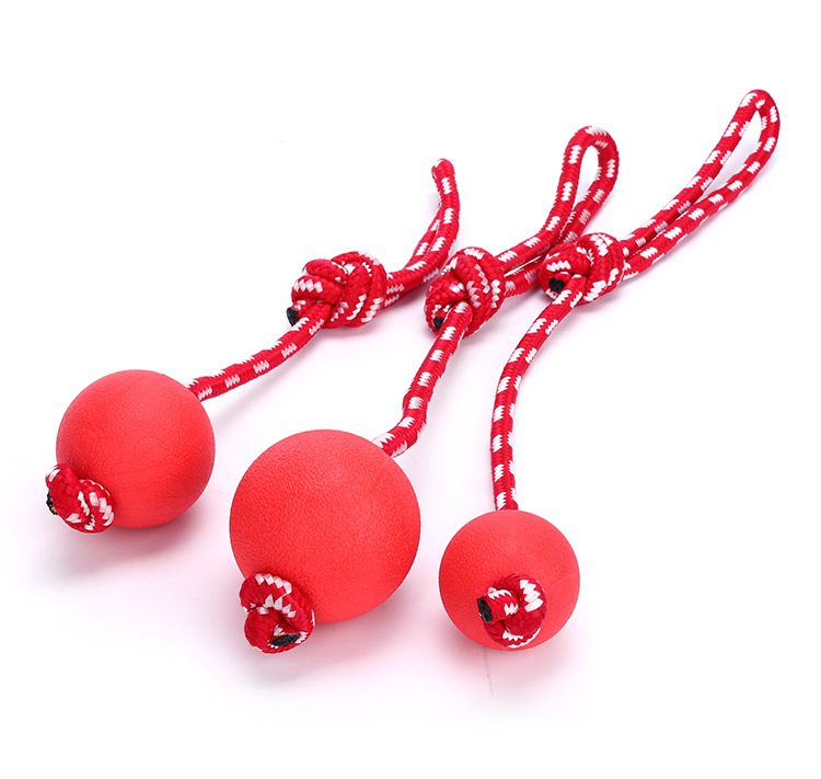 Factory Durable Plastic Dog Training Ball Pet Product for Interaction Chewing