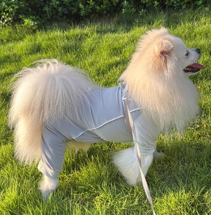 Stylish Sun-Protective Dog Apparel for Summer Adventures and Play