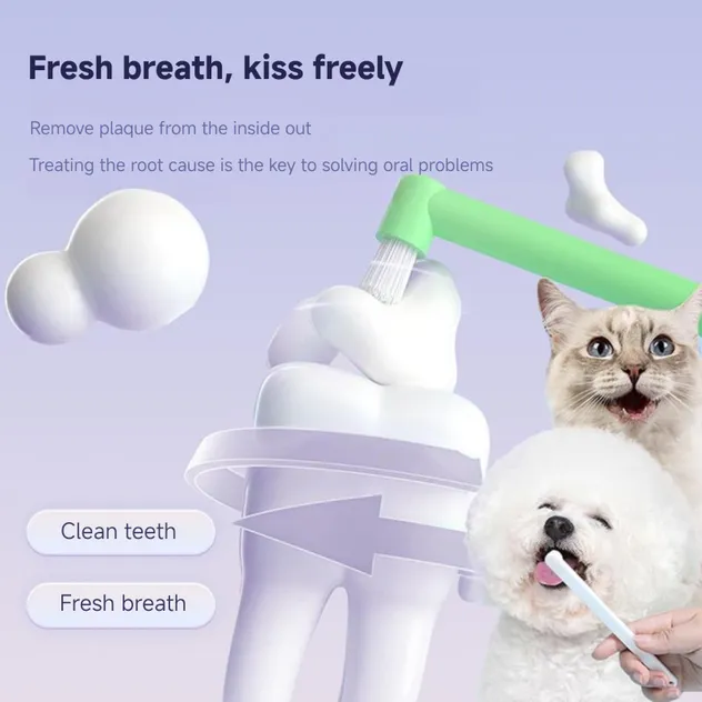 Pet Oral Care 3