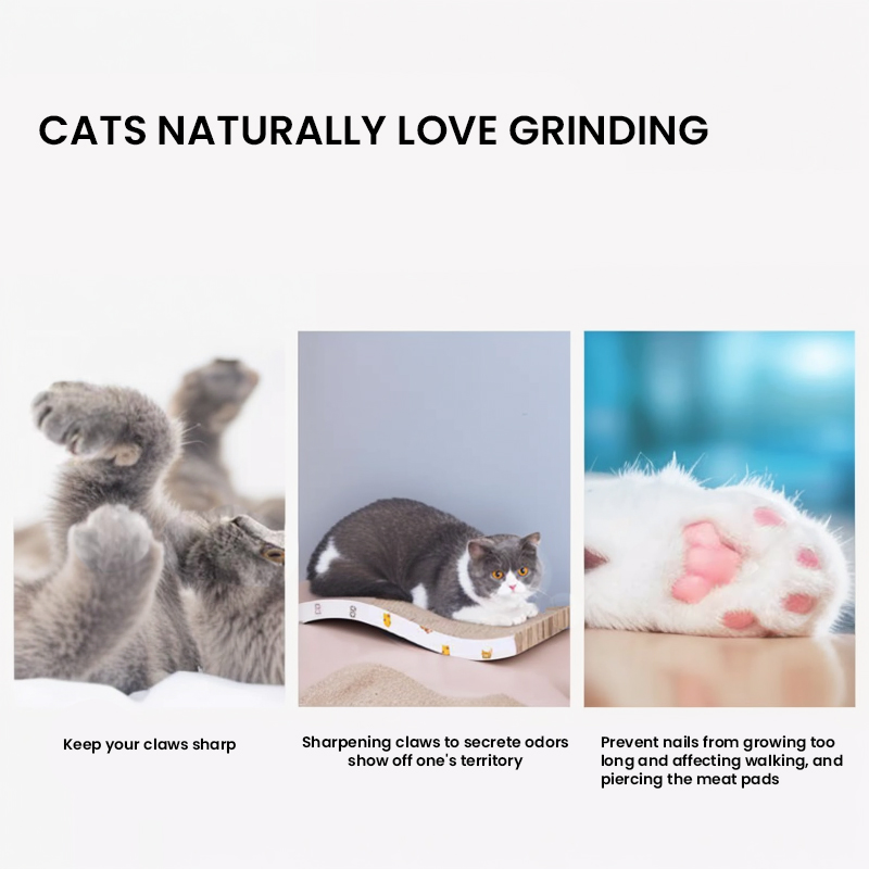 ISO Approved Not Electric Hf-Pet Pet Cat Accessories Renewable Corrugated Paper