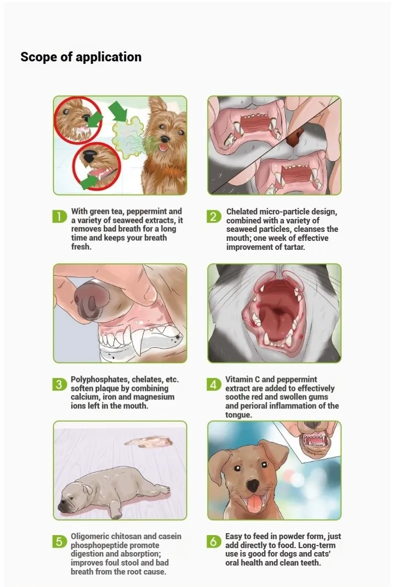 Dental Care Detail 11