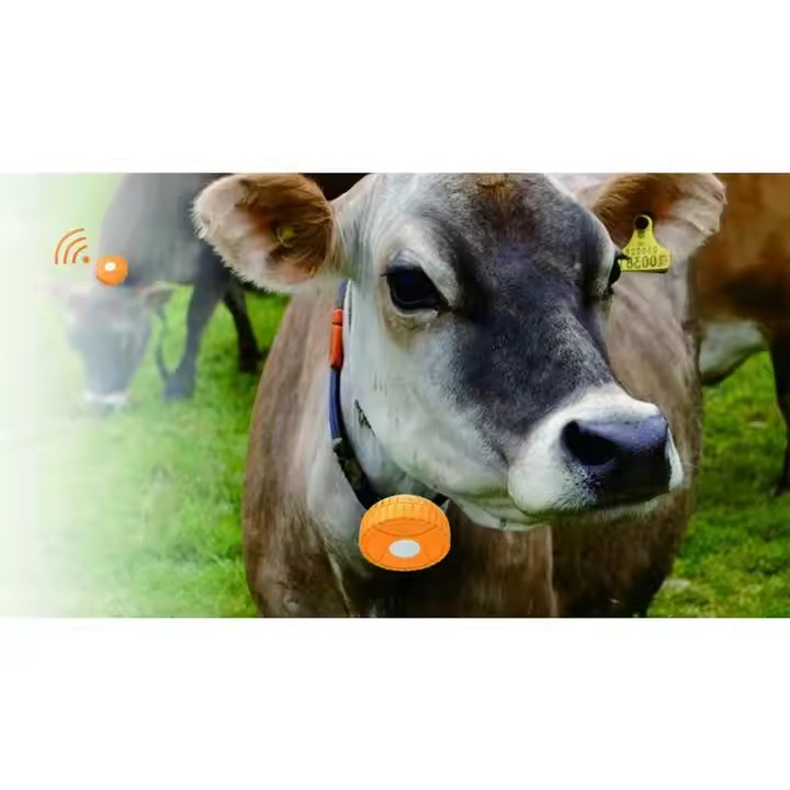 GPS Mobile 2g Mini Animal Tracker Animal GPS Tracking Device Collares Para Vacas