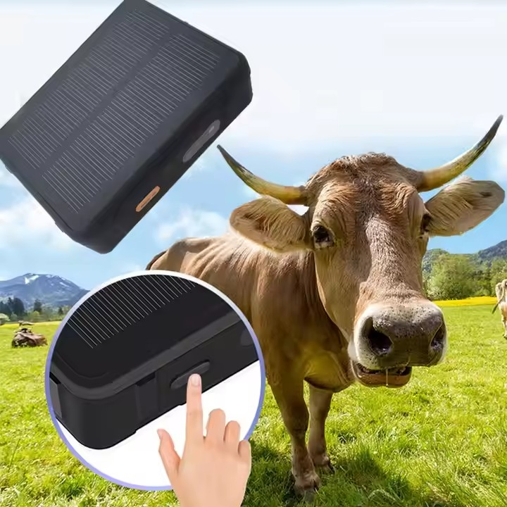 Pet Mini GPS Tracker Long Battery 9000mAh Waterproof IP67 2g Solar GPS Tracking Device for Cattle Cows