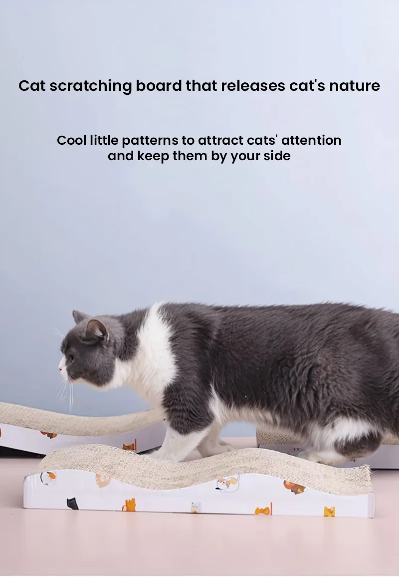 Cat Scratching Board