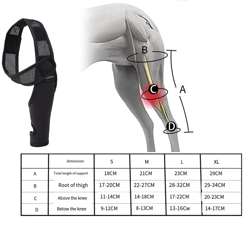 Dog Knee Pad Strap Pet Thigh Injury Brace Fixed Protective Gear