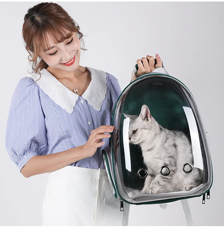 Cat Backpack 5