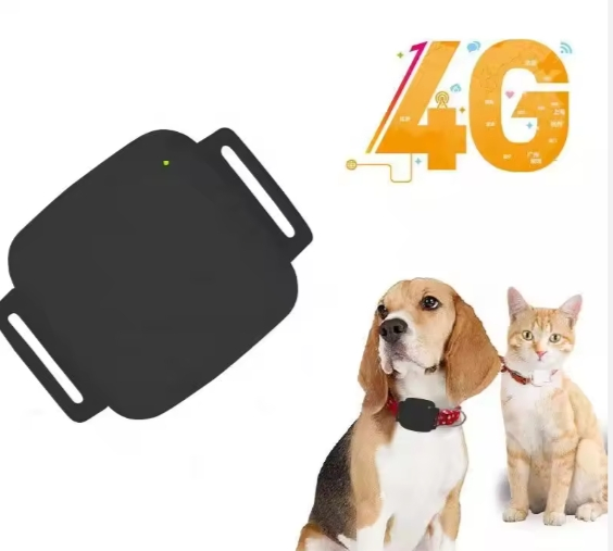 Mini Small Smart Device for Dogs for Pets 4G Dog Locator Tracker