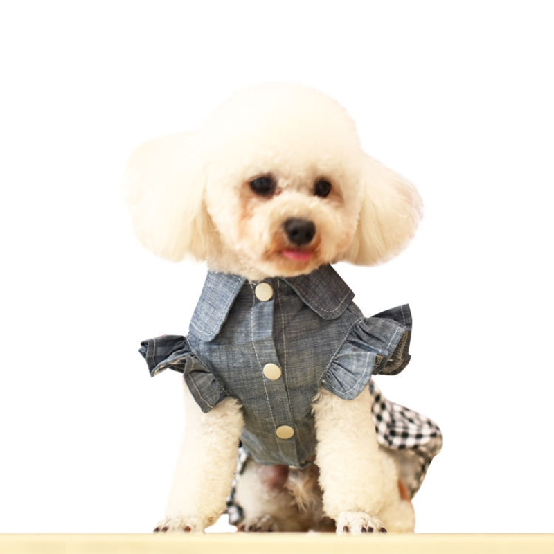 Pet Clothing: Adorable Two-Legged Dog Dress for Spring and Summer