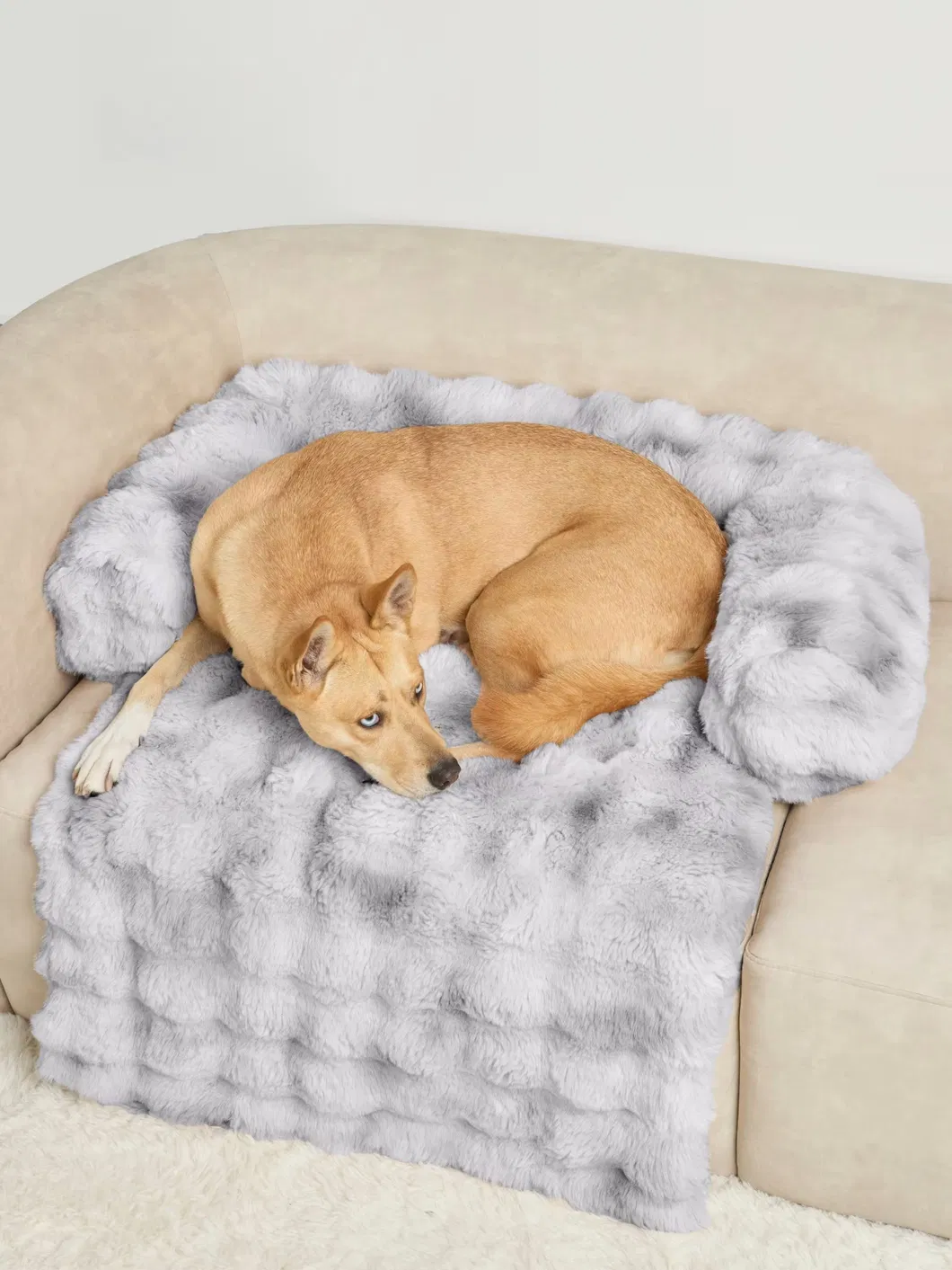 Calming Dog Sofa Bed