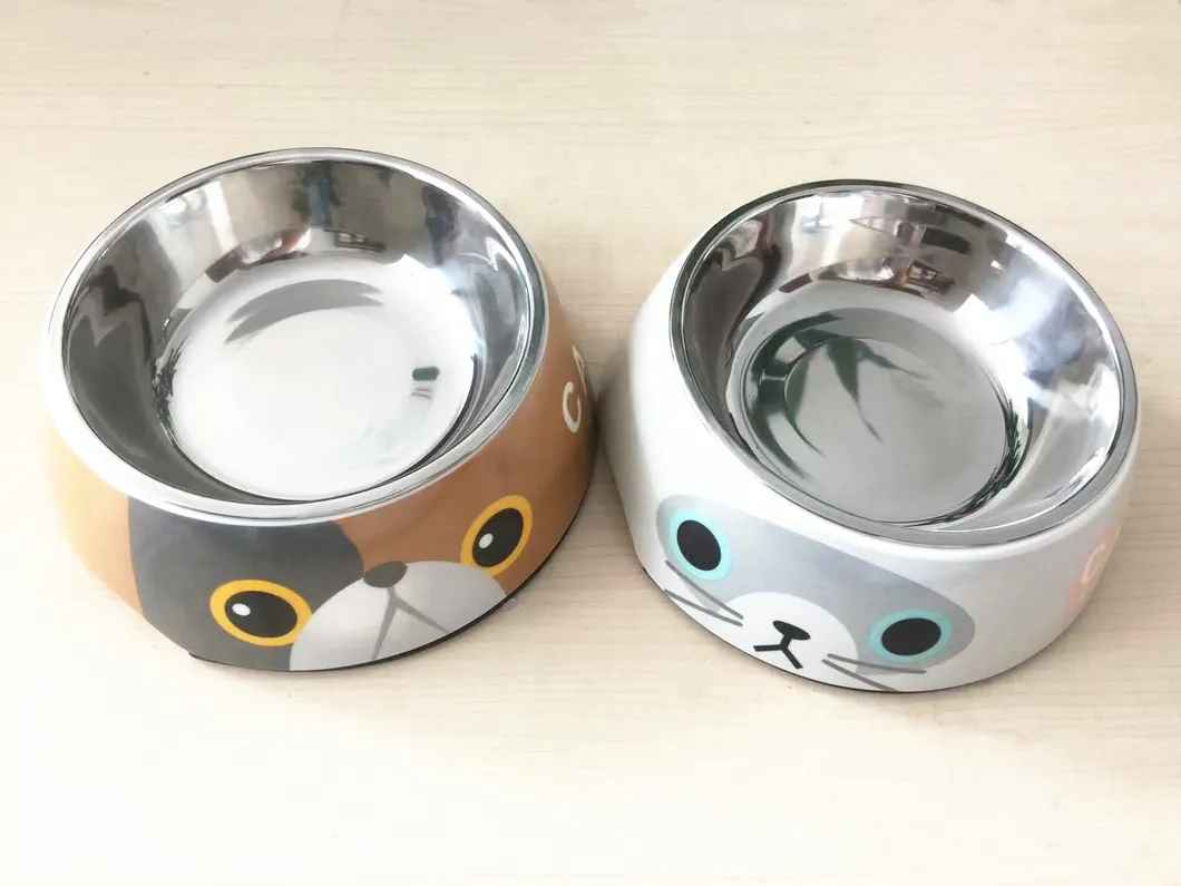 Pet Feeder 5