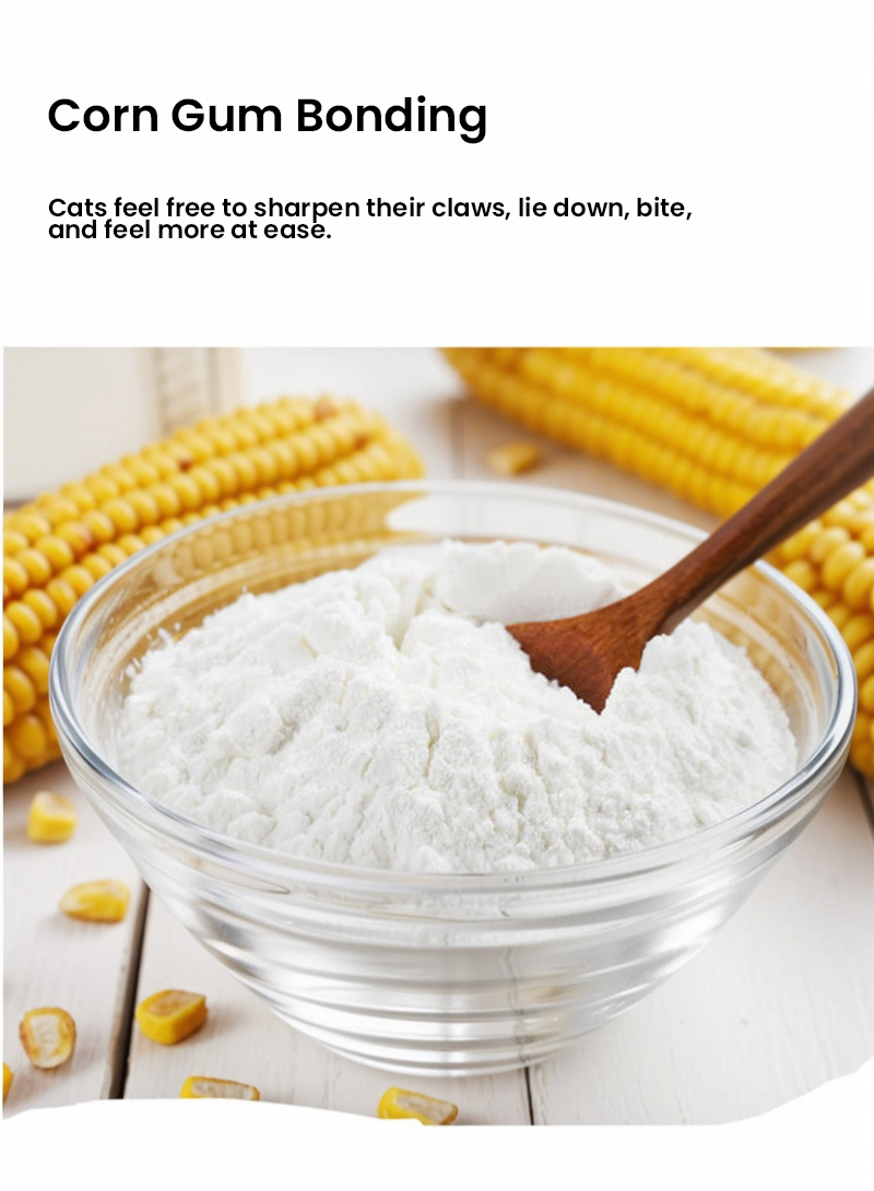 50PCS Customized Hf-Pet 55X35X8 Wholesale Pet Accessories Renewable Corrugated Paper