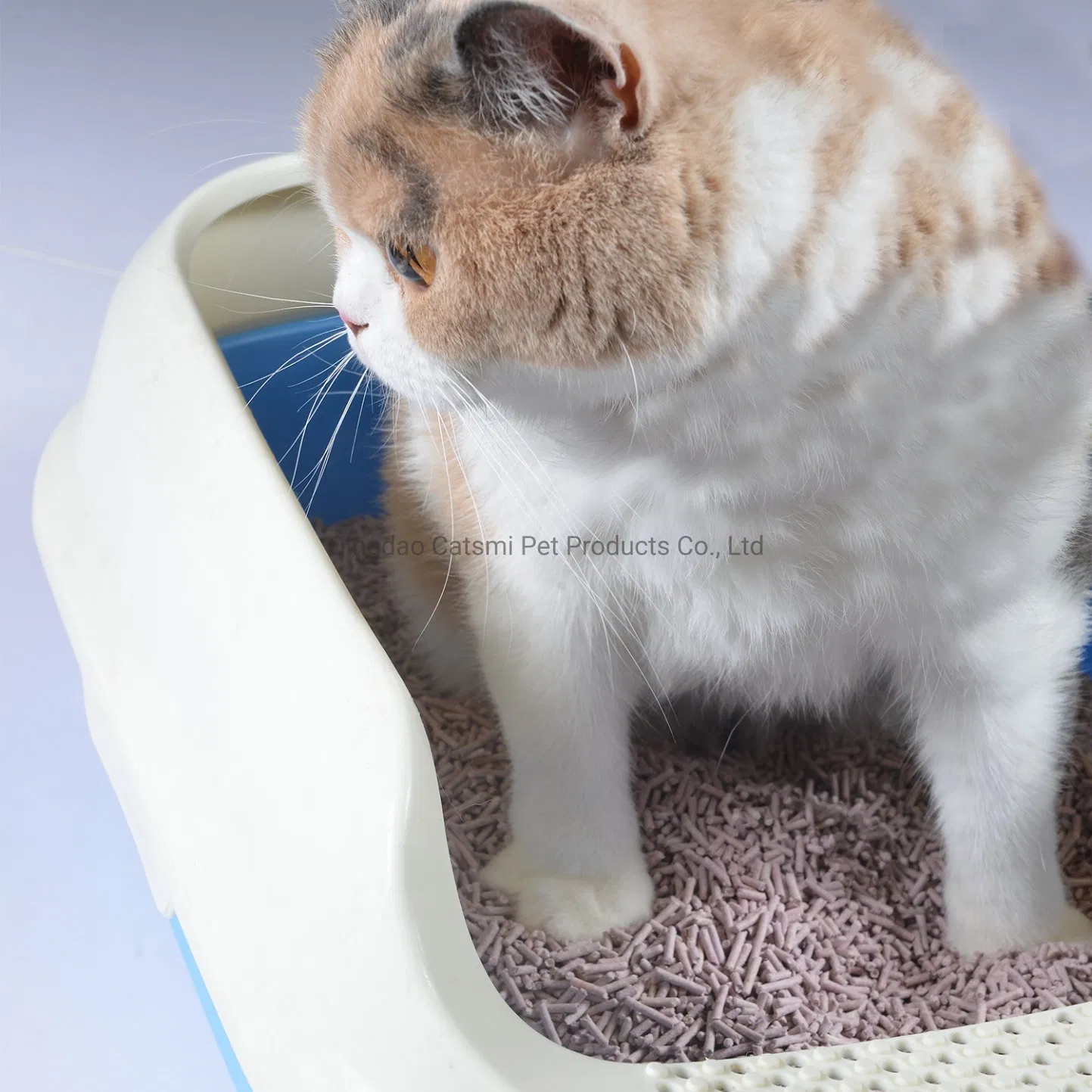 Wholesale Pet Bedding Sand Puffy Lotus Flower/Jasmine/Mocha/Milk/Baby Powder Tofu Cat Litter