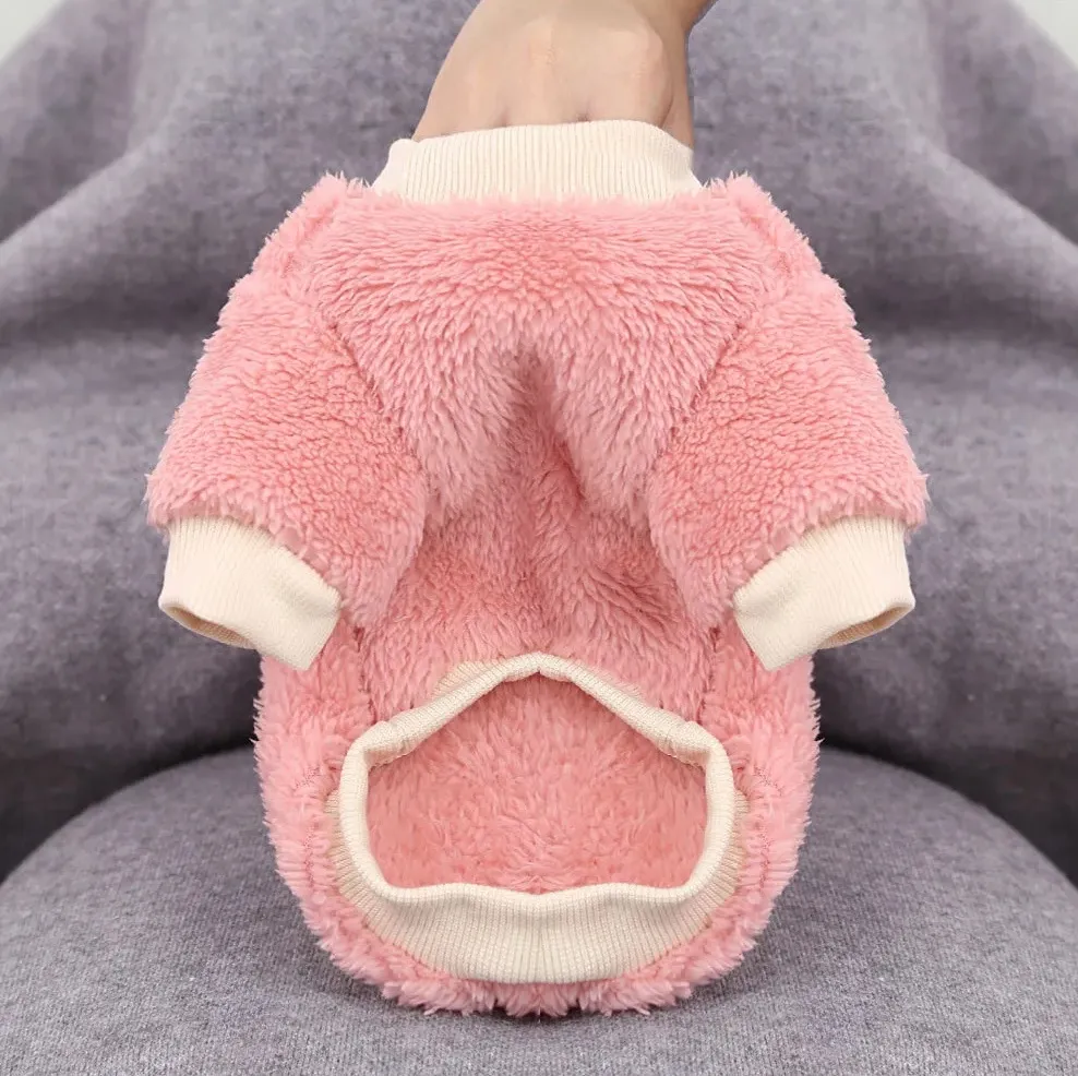 Pet Winter Clothes Fruit Embroidery