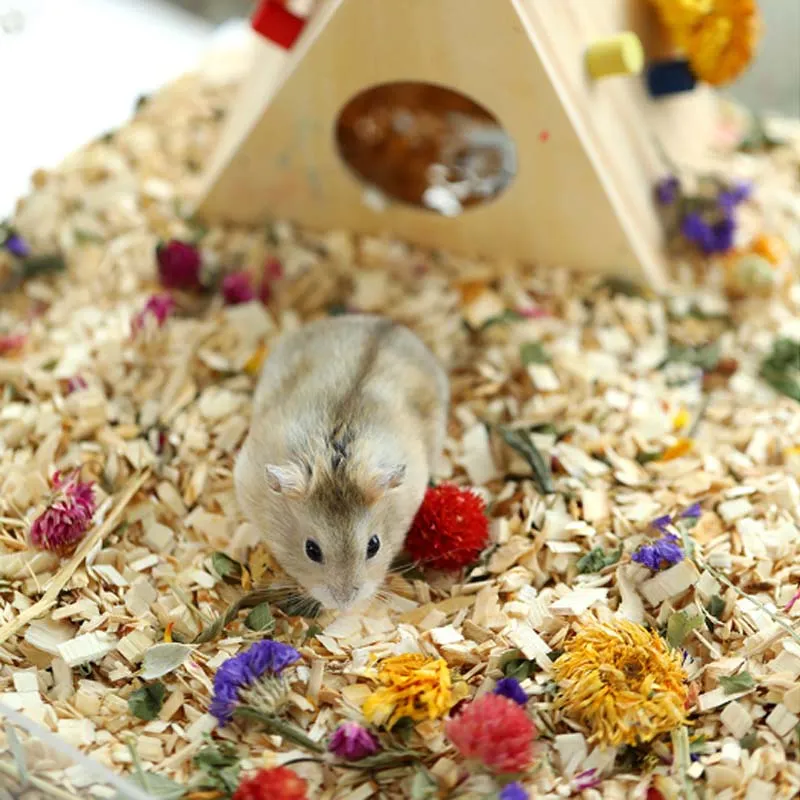 Hamster Bedding 6