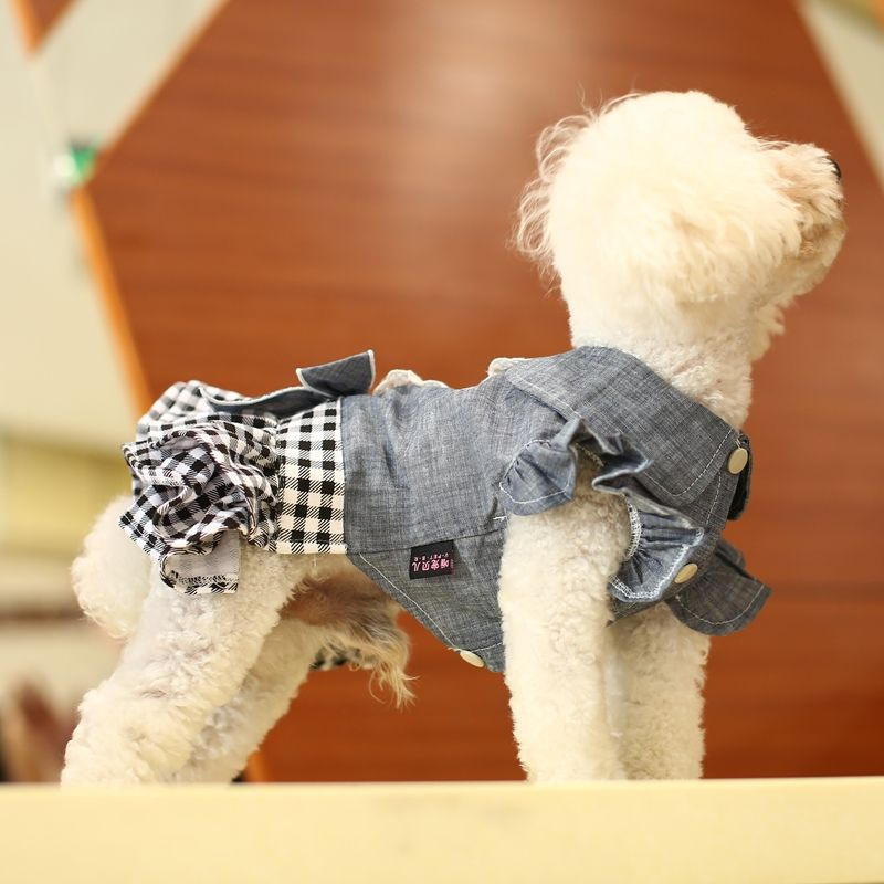 Pet Clothing: Adorable Two-Legged Dog Dress for Spring and Summer